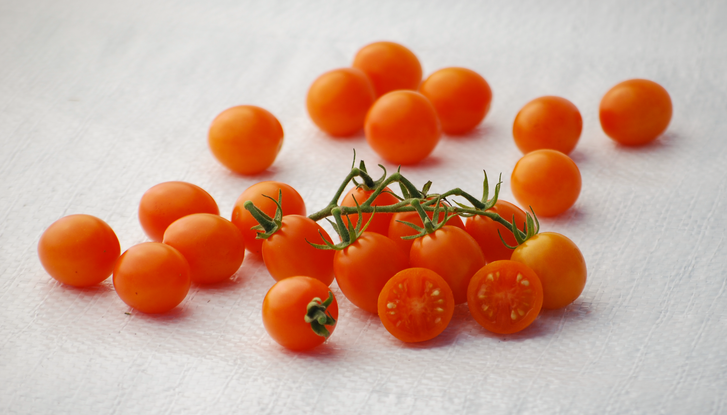 beta carotene beta tomato on the vine