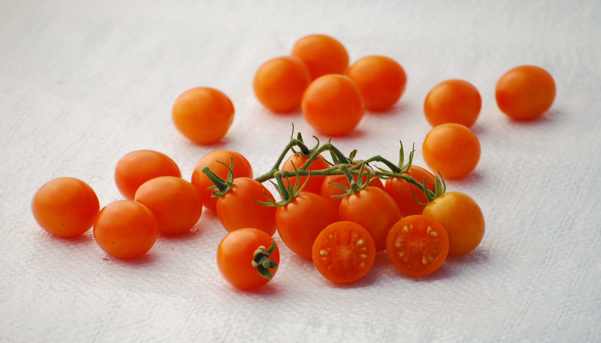 beta carotene beta tomato on the vine