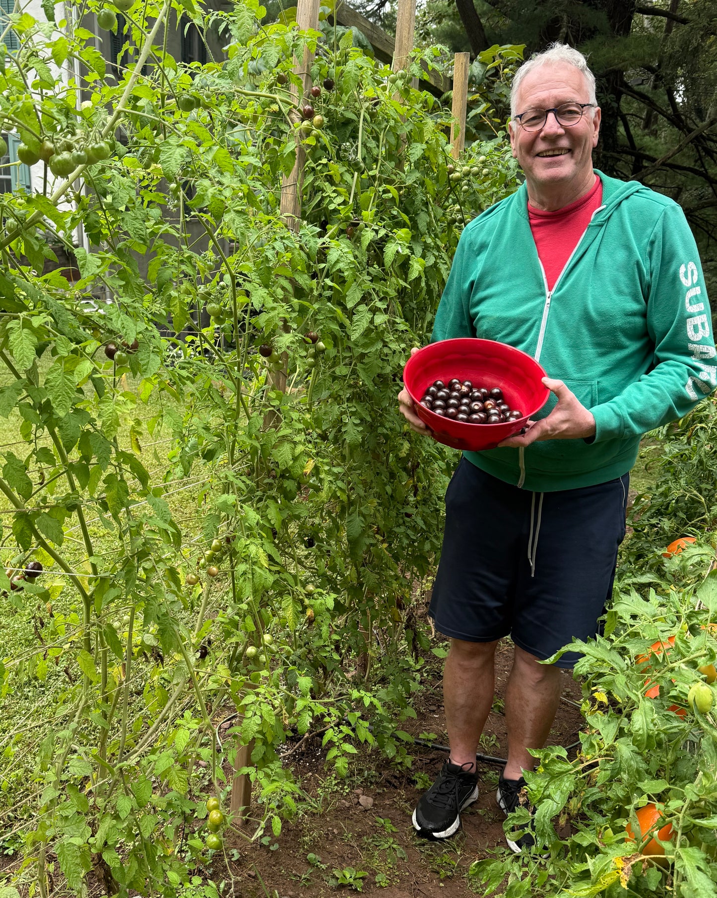 Man standing next to the Purple Tomato holding a red bowl with Purple Tomatoes.

